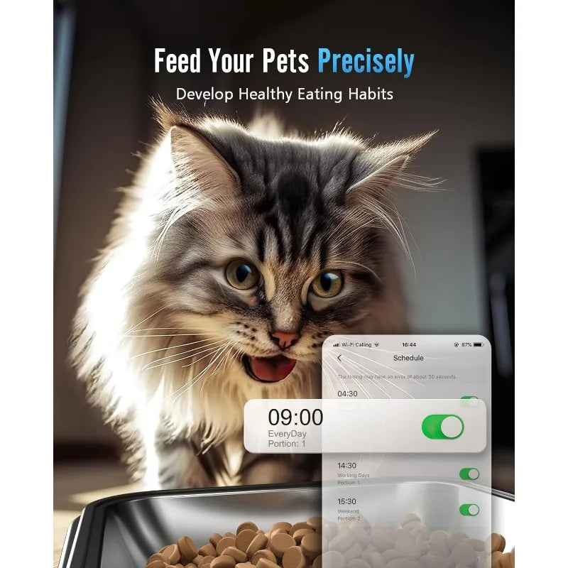 Automatic Cat Feeder