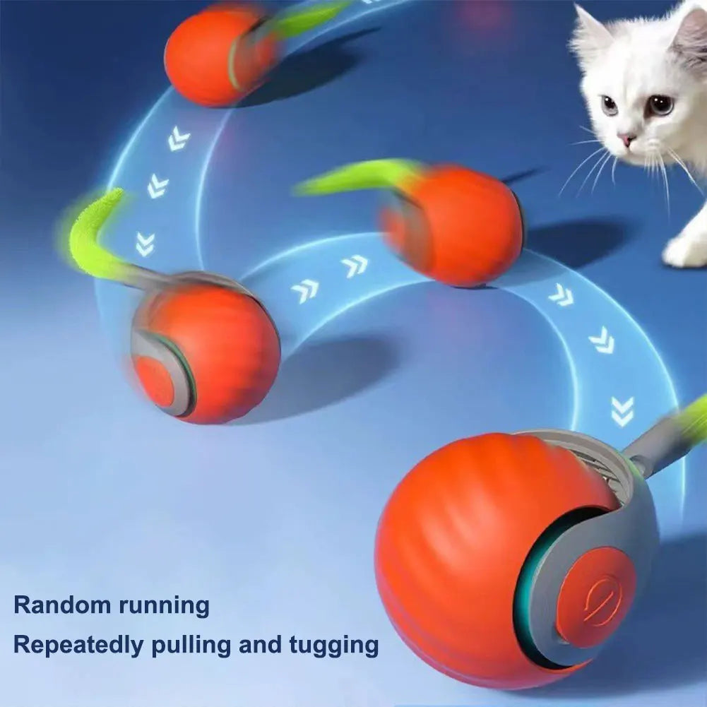 Cats Interactive Ball Toy