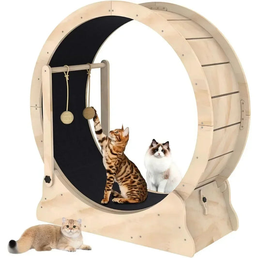 Cat Treadmill with Carpeted Runway