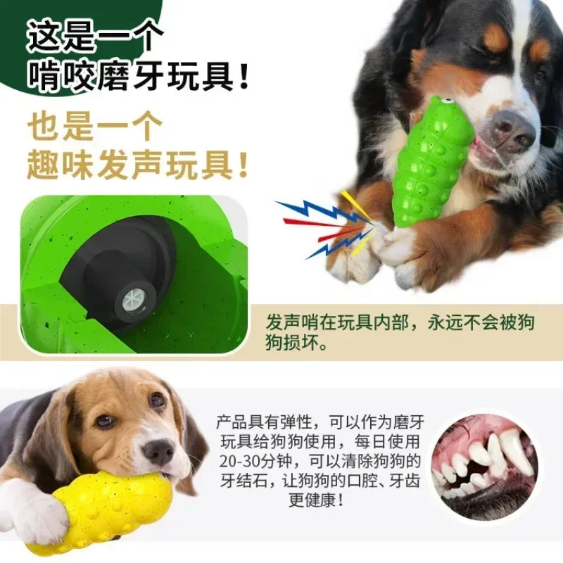 Pet Squeaky Toy