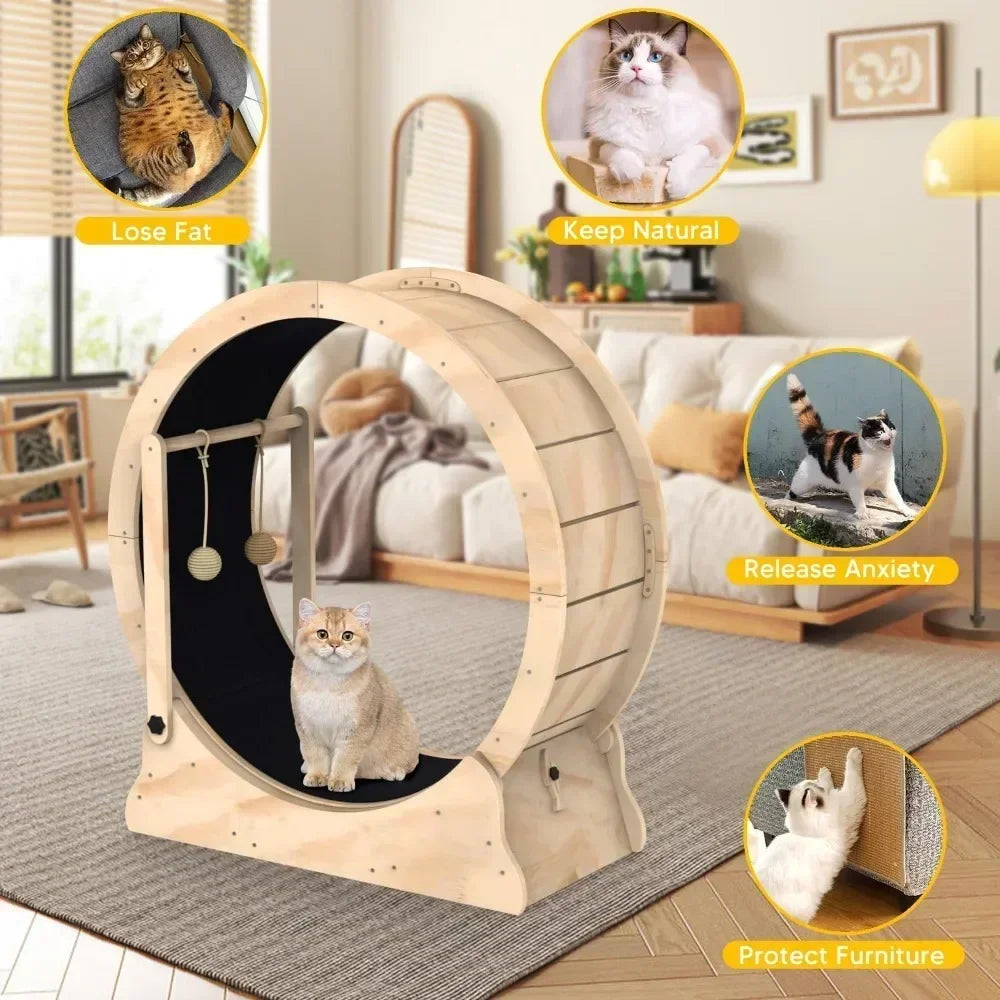 Cat Treadmill with Carpeted Runway