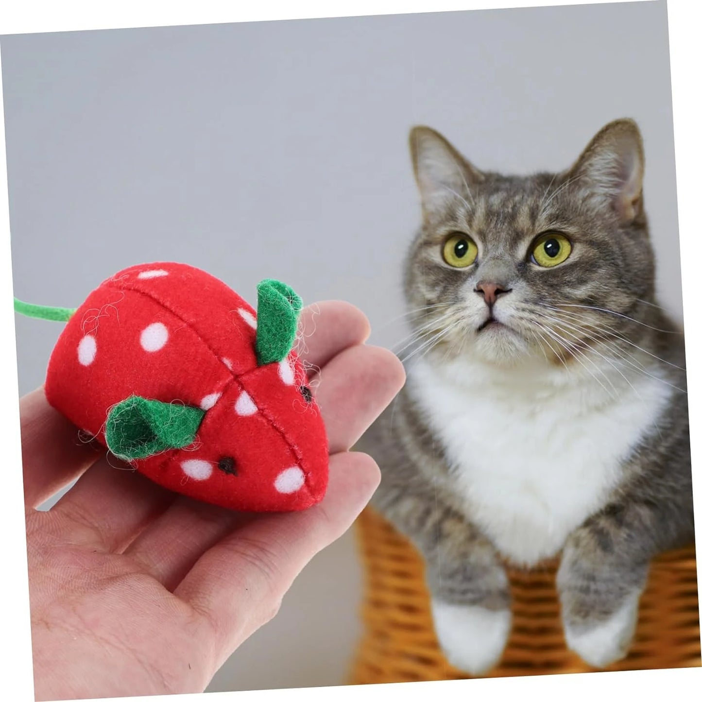 Catnip Chew Toy for Curious Cats