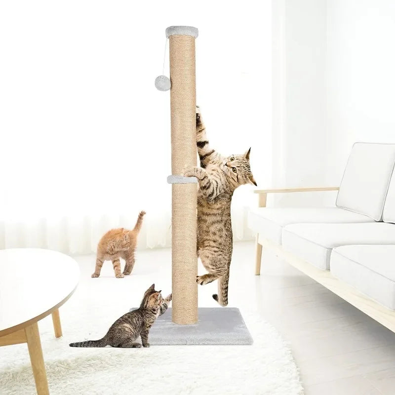 Cat Scratcher Cardboard Lounge Bed