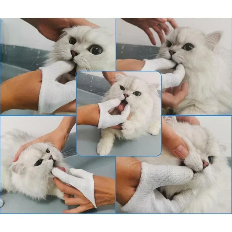 Two-finger Pet Tooth Brush