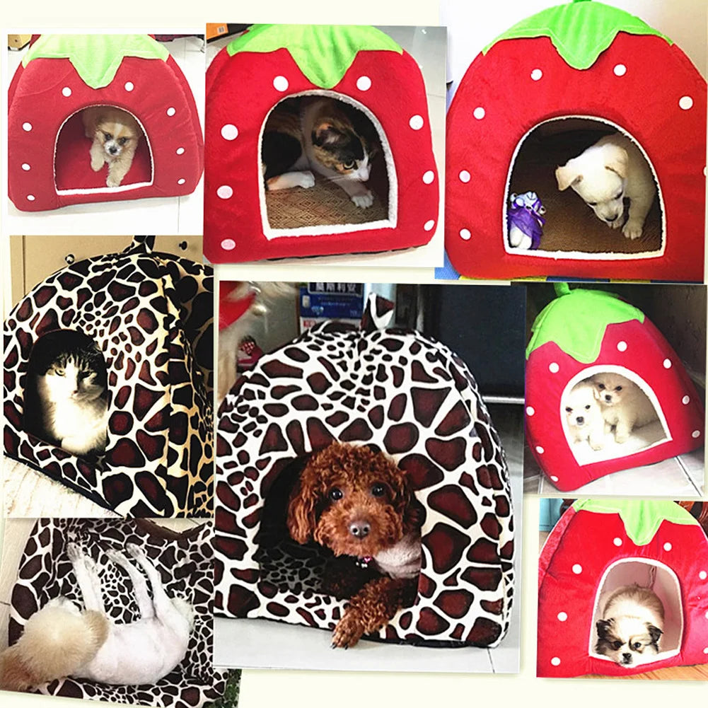 Kennel Doggy Fashion Cushion