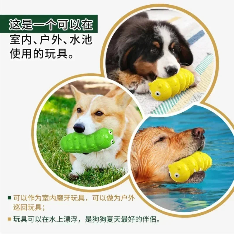 Pet Squeaky Toy