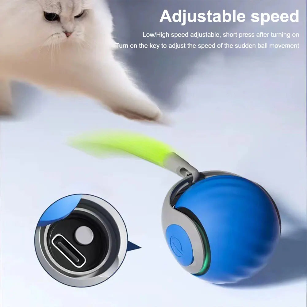 Cats Interactive Ball Toy