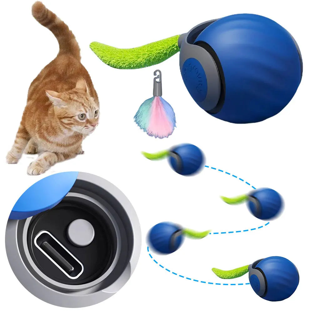 Cats Interactive Ball Toy